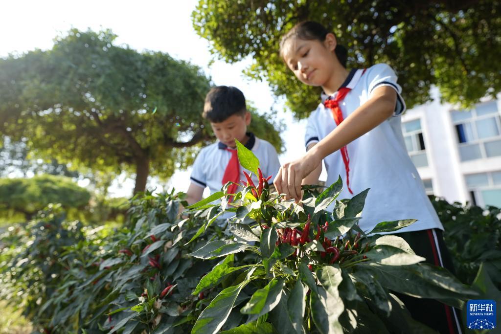 百家乐大全